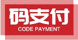 码支付